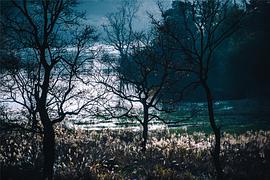 广播文章精选唯美,广播稿精选100字