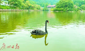 探秘广州脊丨门开万里拢翠,亚婆山歌沉醉