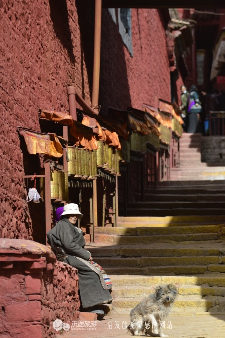 从楚布寺里的遮止说起