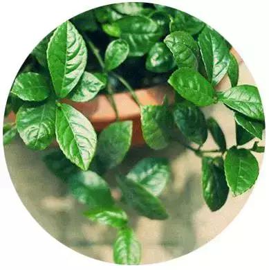 大暑温馨提醒你注意什么,大暑即将来临的视频