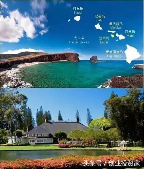 以干倒盖茨为乐,号召大学生退学……这个“混蛋”32岁前穷得被老婆甩,如今说要捐掉2000多亿身家!