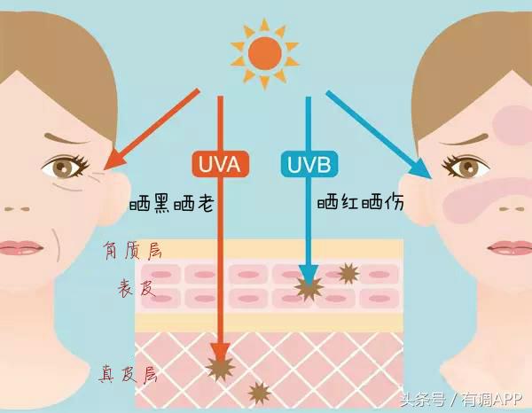 科学实验魔术师帽子,科学实验防水帽子