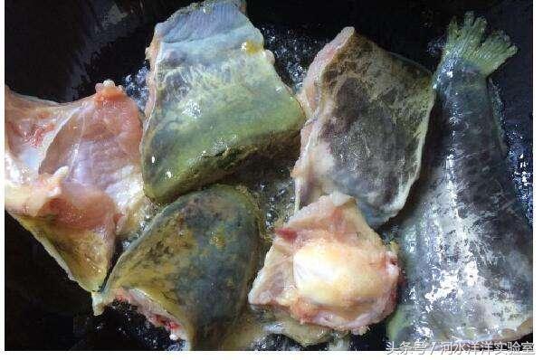 红烧鲶鱼鱼块的做法大全,剁椒鱼头红烧鲶鱼的做法