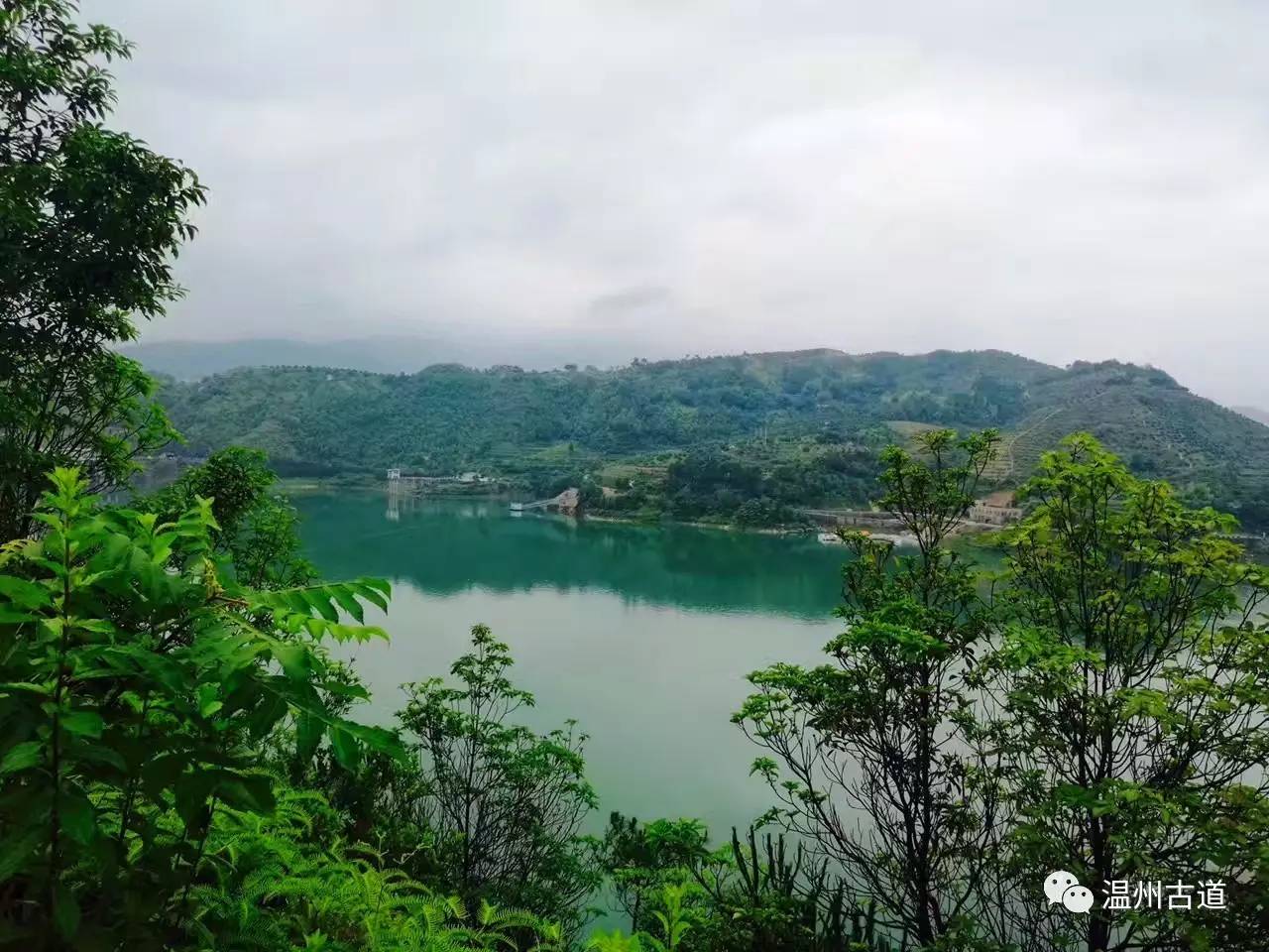 文成县珊溪水库地图,正宗文成珊溪水库有机鱼
