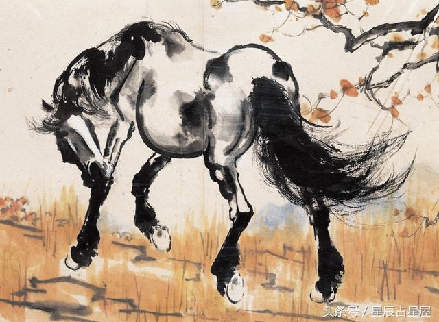 生肖马运势2021情感运势,生肖马运势2024年运势化解