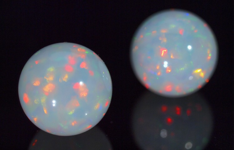 欧泊变色龙,变色龙欧泊