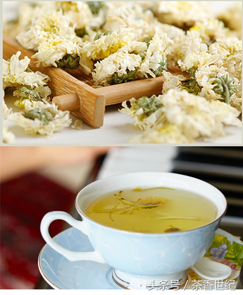 金银花和菊花哪一种降火比较好,金银花菊花泡茶喝能降火吗