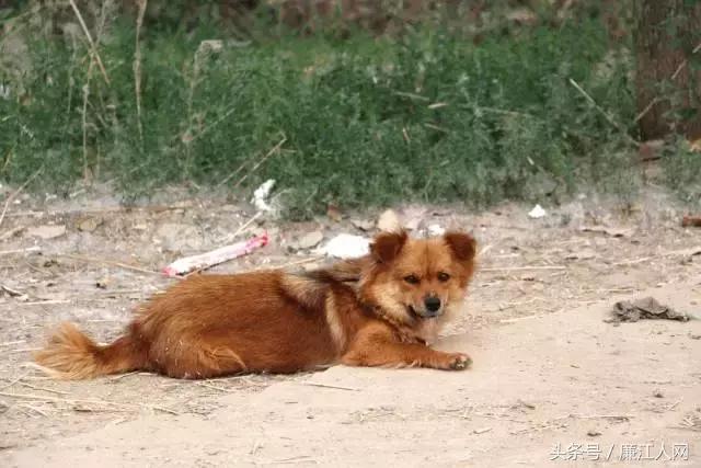 我来自廉江农村，你愿意跟我结婚吗？