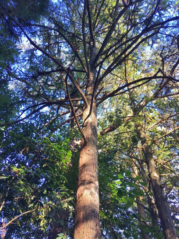 一场说走就走的夏日旅游,一场说走就走的山水旅游