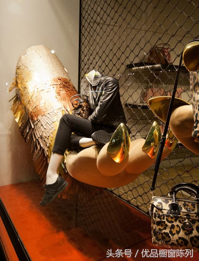 带你看遍所有车型,带你看遍大牌包包