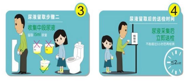 怀孕尿检什么指标,尿检指标科学解读