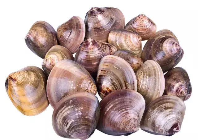 分得清才能拎得清,分得清