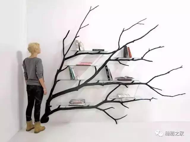 生活创意｜捡几根枯树枝搁家里，竟然有十几种用途简直成了家里的装饰品，一道风景线