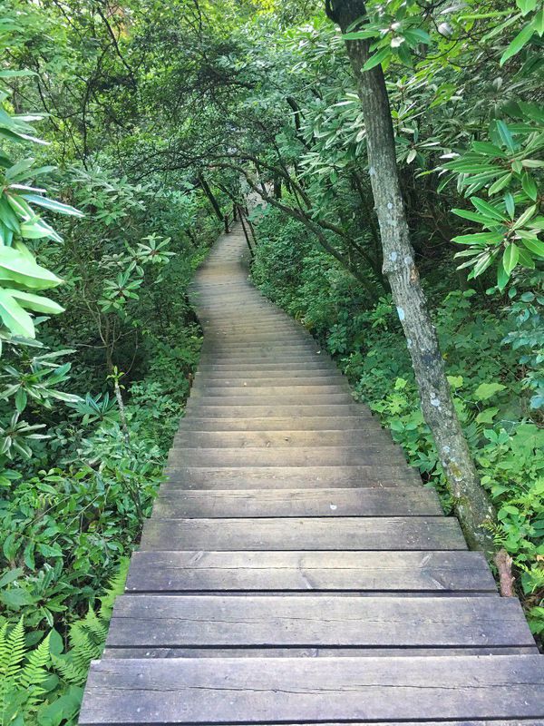 一场说走就走暑假旅行,一场说走就走的旅行来了