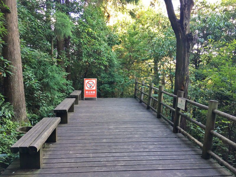 一场说走就走暑假旅行,一场说走就走的旅行来了