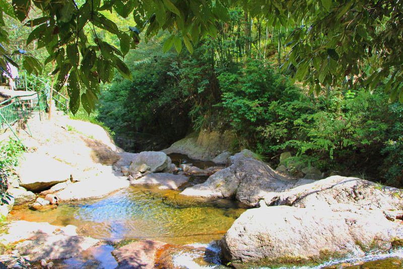 一场说走就走的夏日旅游,一场说走就走的山水旅游
