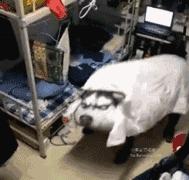 怀念读书生活的宿舍小*人贱**