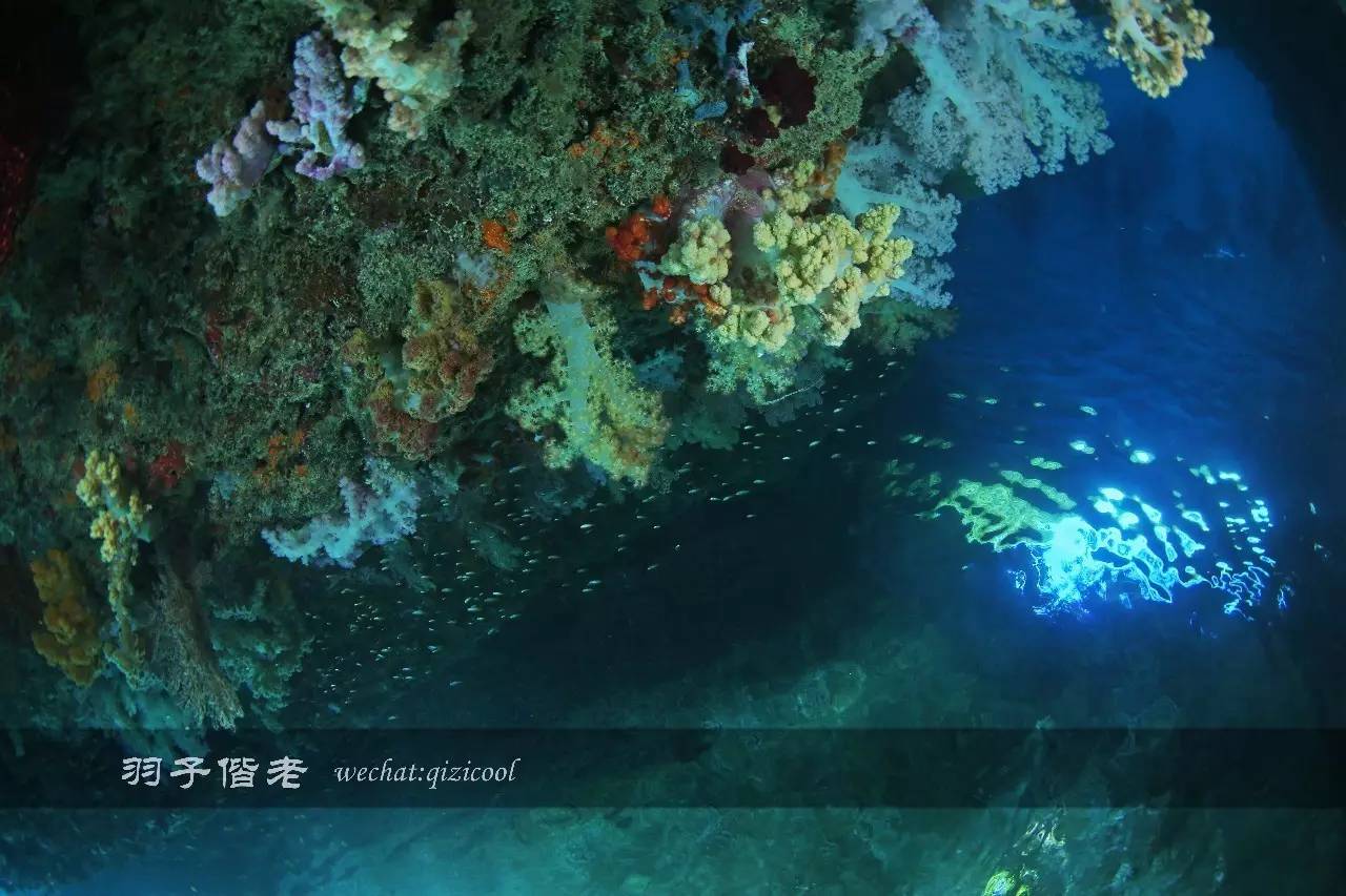 帕劳旅行真实感受,三次帕劳是一种什么体验