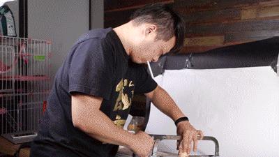 我把整个超市扔进了冷冻室，没想到还挺好吃