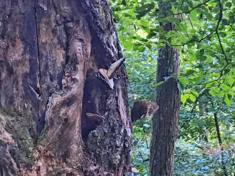 一场说走就走的夏日旅游,一场说走就走的山水旅游