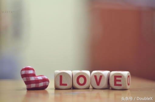 致橡树仿佛永远分离却又终身相依,读致橡树的感受