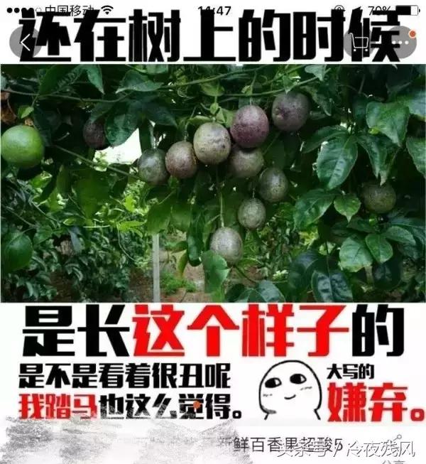 电商史上最全最搞笑锦集，笑成了200斤的胖子