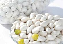 肌肤爱长痘是因为出油多吗,脸上出油长痘怎么改善