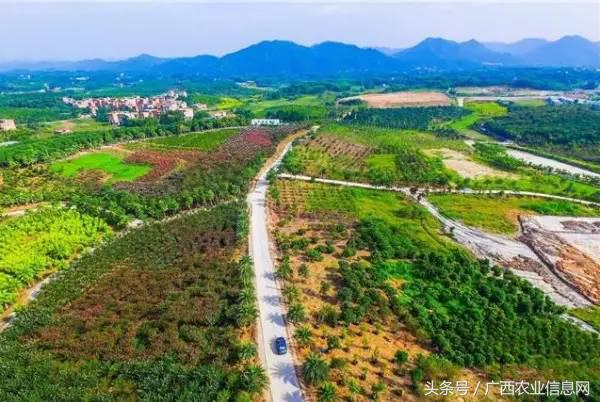 暑假去哪里旅游好进广西,暑假去哪里玩好玩又便宜广西