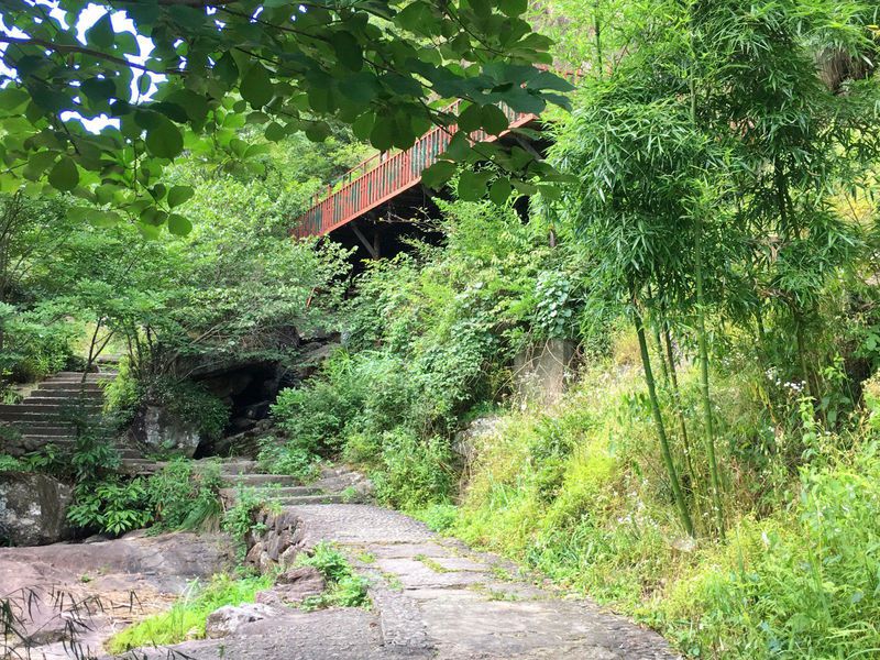 一场说走就走的夏日旅游,一场说走就走的山水旅游