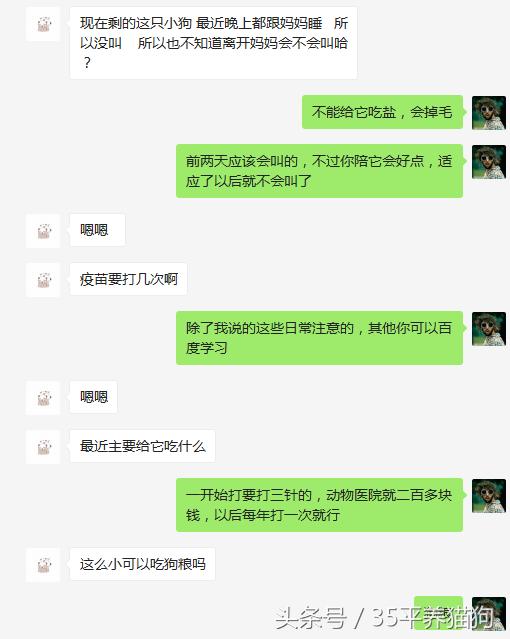 我和我的狗子们：养狗人的心醉幸福二三事儿