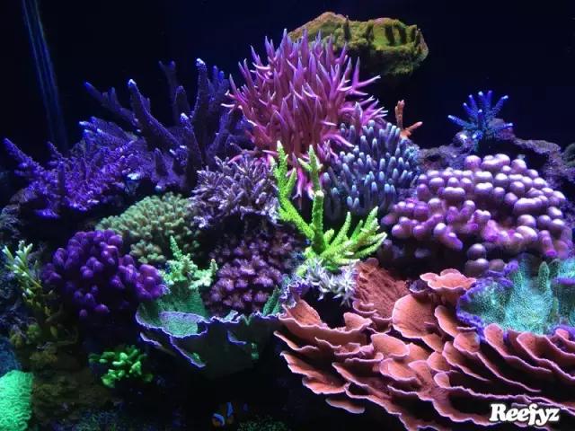 天啊，又是火灾又是炸缸，这可能是最倒霉的鱼友了！