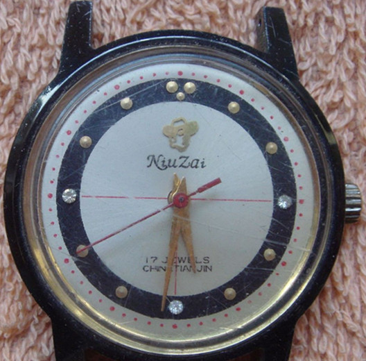 天津海鸥手表价格多少,天津海鸥女式全自动手表