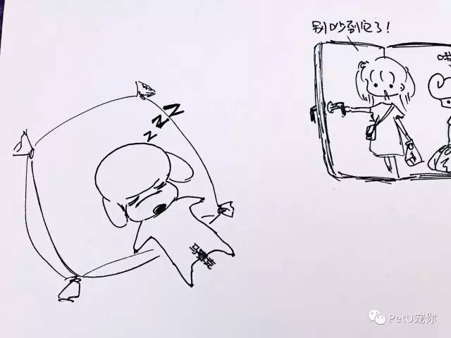 女朋友养狗是一种怎样的体验?