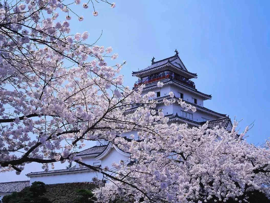 去日本值得推荐的美妆护肤有哪些 (日本旅游必买的十大化妆品)