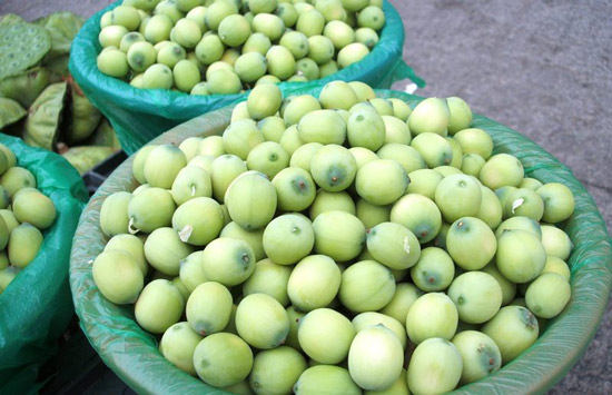 摆地摊卖莲蓬怎样卖得快,卖莲蓬赚钱么