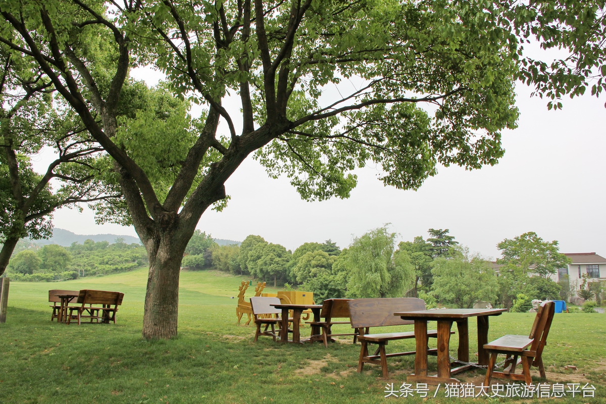 雨花胜境游玩攻略,东山雨花胜境景点介绍图片