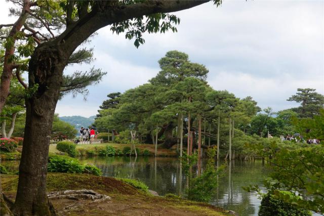 日本升龙道之旅攻略,日本升龙道旅游