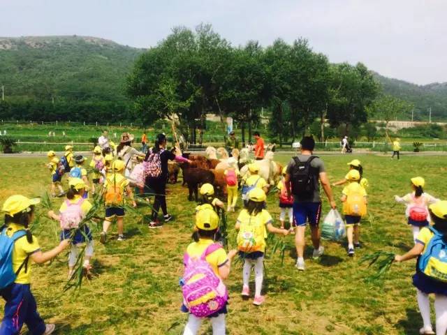 大连铭湖牧场度假区,大连铭湖牧场和三寰牧场哪个好