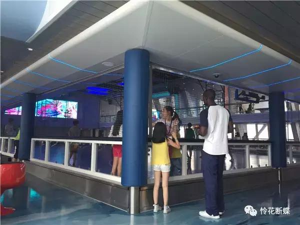 暑假如何玩转邮轮,暑假怎么玩儿