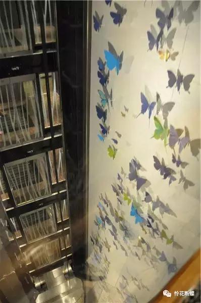 暑假如何玩转邮轮,暑假怎么玩儿