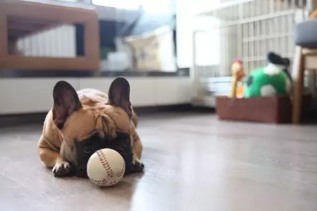 36㎡打造乐活居,你什么样,生活就什么样!