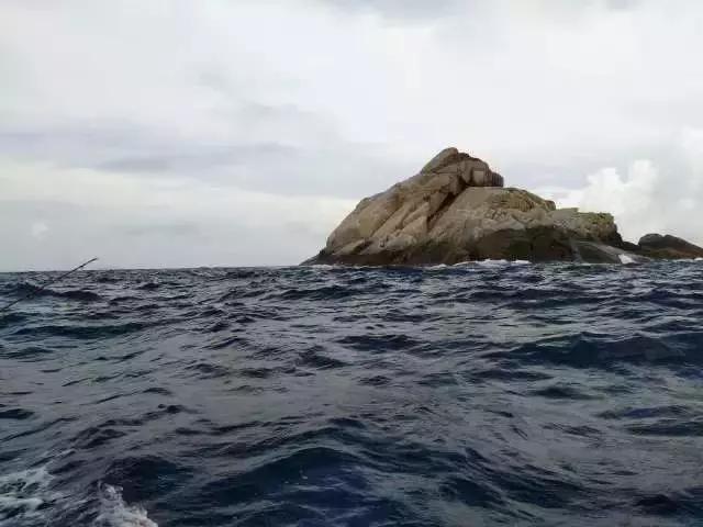 台山浪琴湾有藤壶吗,台山浪琴湾沙滩游泳