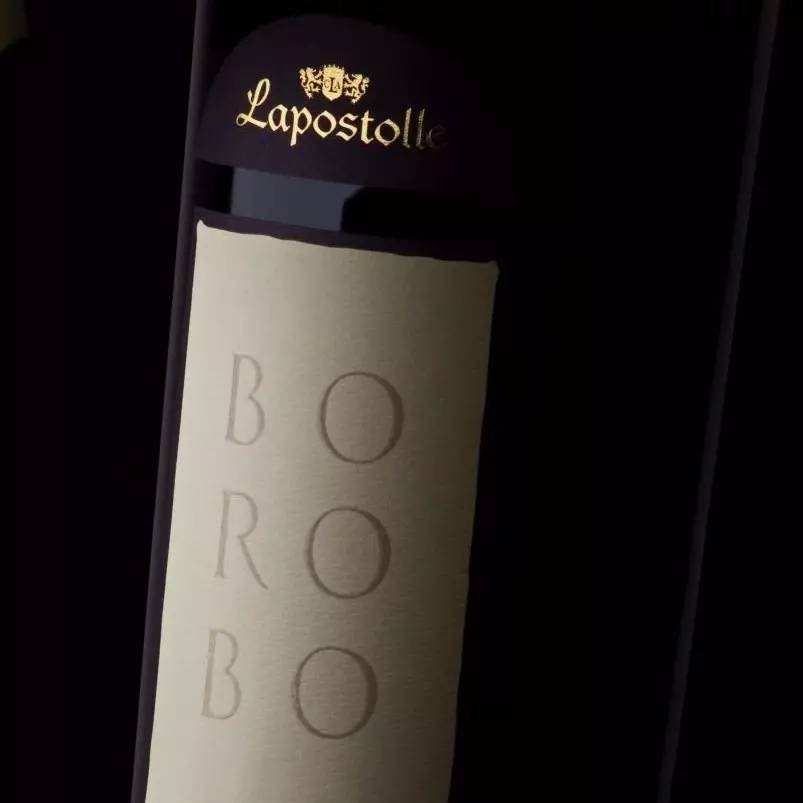 智利十大最贵葡萄酒,智利最有名的葡萄酒是什么