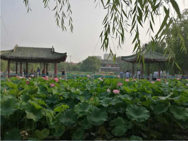 潍坊市圣基福安家园电梯,潍坊福安家园圣基铭座六楼价格