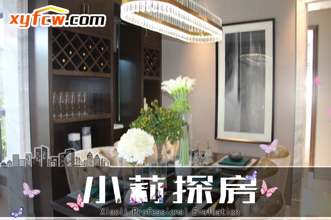 小莉探房记全集,琨瑜府小户型样板间