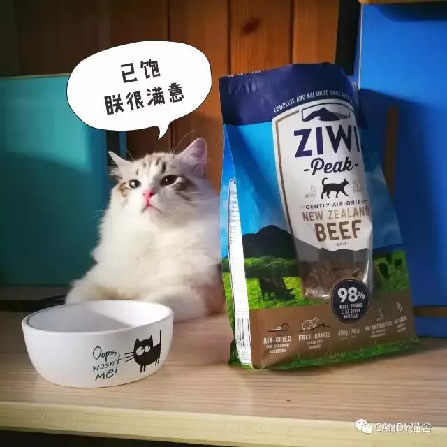 体验报告,猫生烘焙猫粮测评