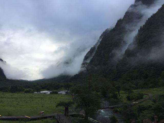 四姑娘山高山草甸,四姑娘山雪山草甸