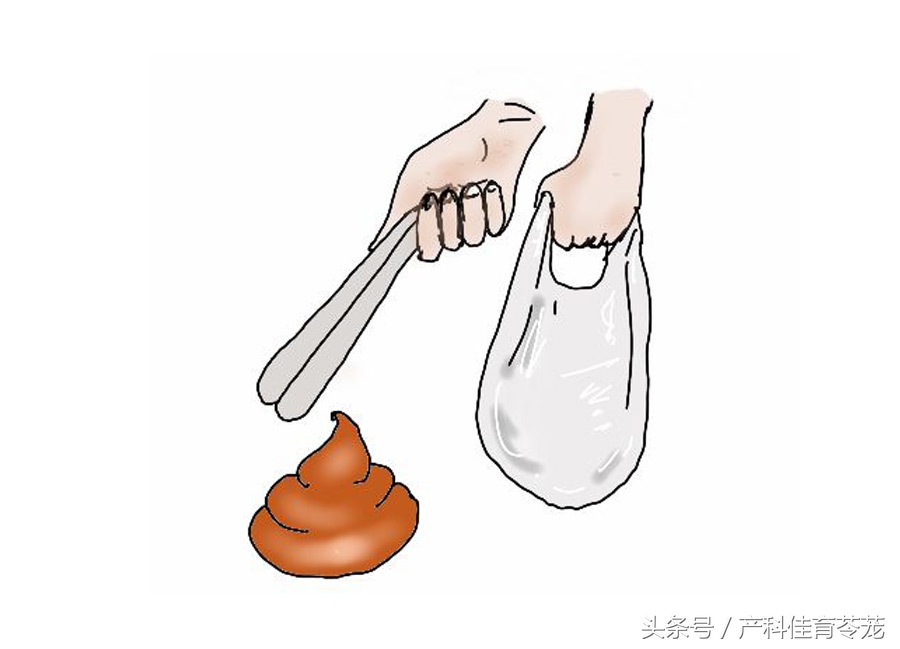 怀孕后可以养宠物吗,为什么怀孕不能养宠物