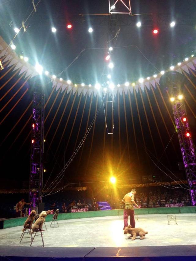 成都国色天香大马戏,国色天乡大马戏