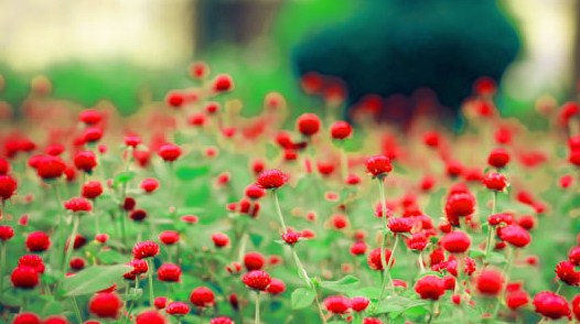 有个性的早安说说句句简短走心,早安语录励志点赞高的说说带图片